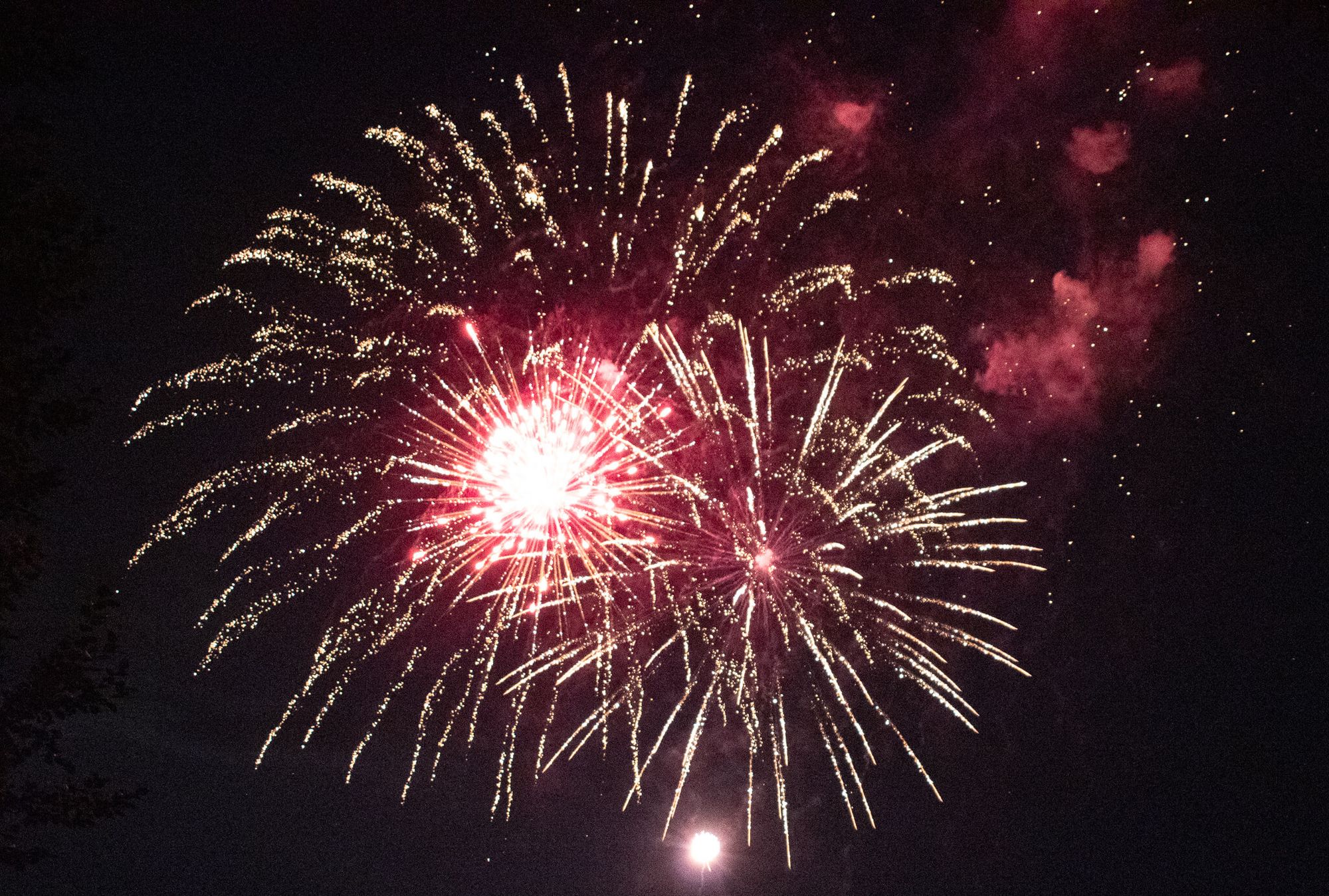 Firework bursts against a black sky