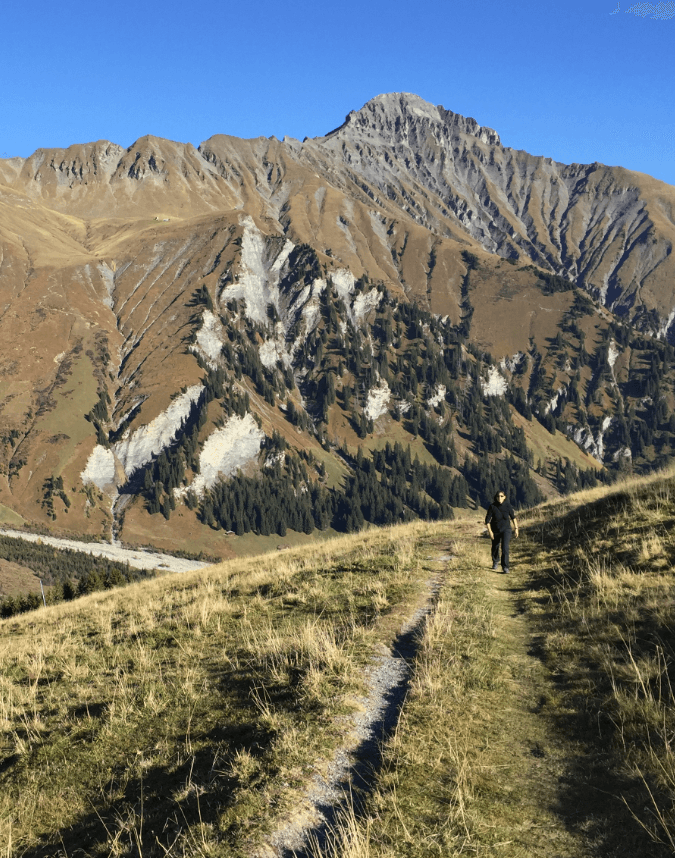 Mountain path on a hillside with imposing, brown-hued mountain in background