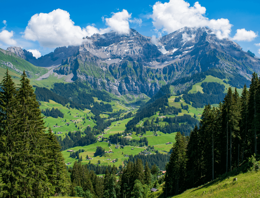 View of a majestic mountain from a green field with pine trees