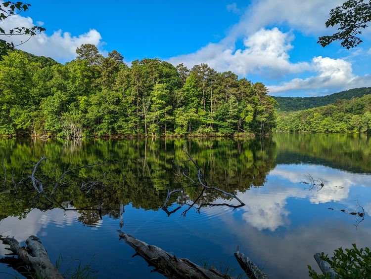Still lake reflecting green trees and a blue sky with white clouds