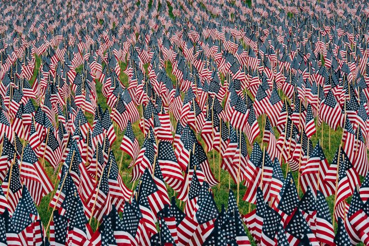 Sea of small American flags stretching to horizon