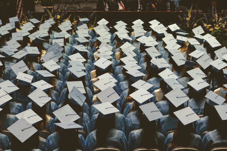 Large group of graduates wearing caps from behind