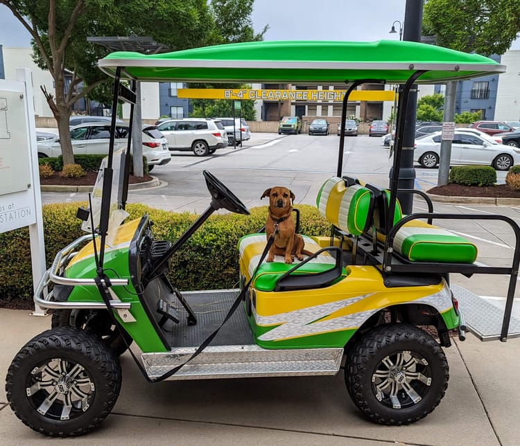 A small dog sitting on the seat of a bright green golf cart
