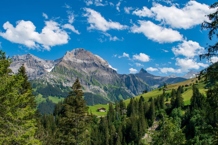 Swiss mountain scene, with peaks in the background and green hills and trees in the foreground