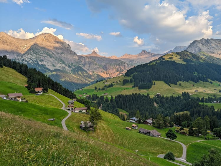 Swiss mountains with green fields and trees in the foreground