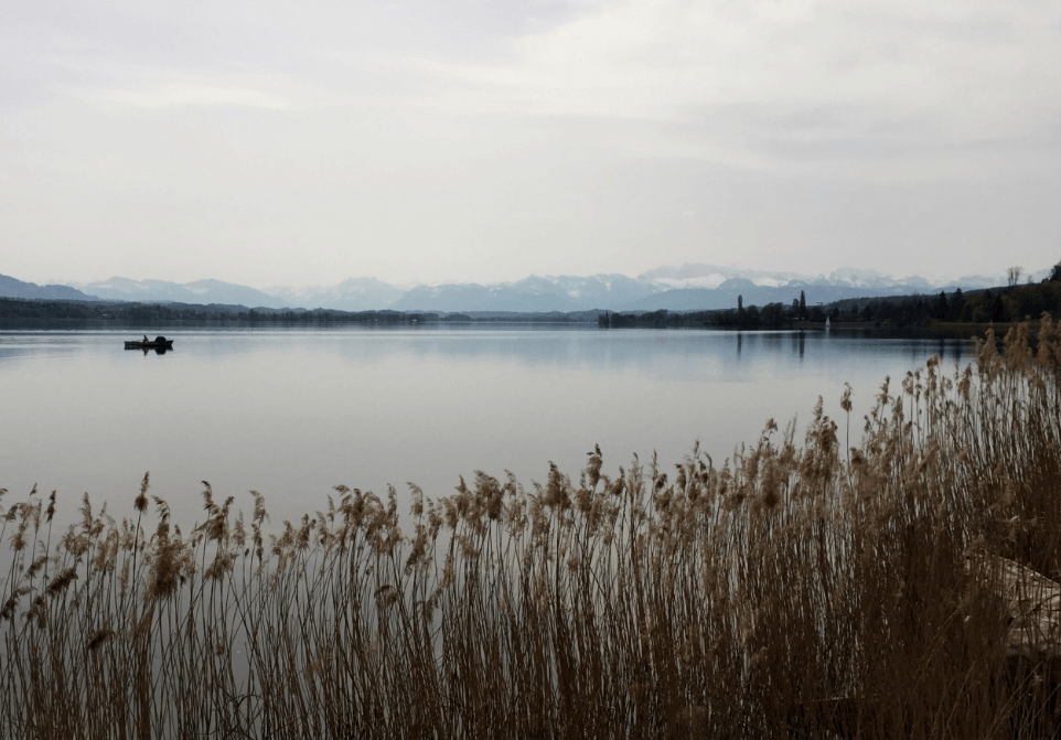 Brown reeds in front of smooth lake - Moral Letters to Lucilius