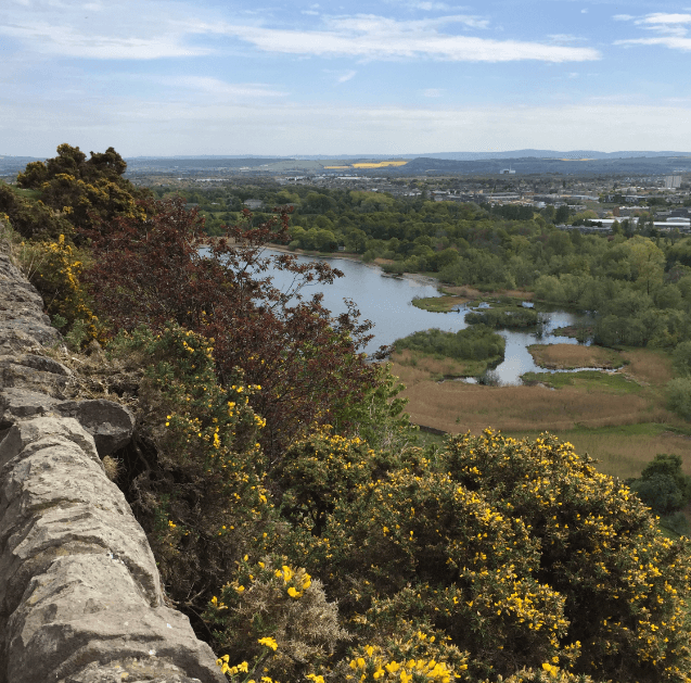 Hilltop lined with yellow-flowered bushes - Moral Letters to Lucilius