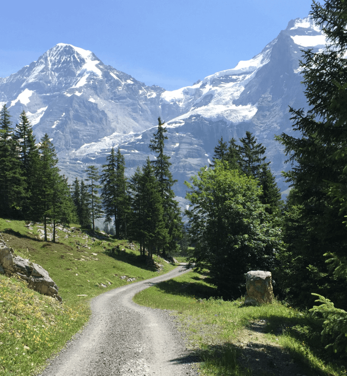 Trail through forest with mountains in background - Moral Letters to Lucilius