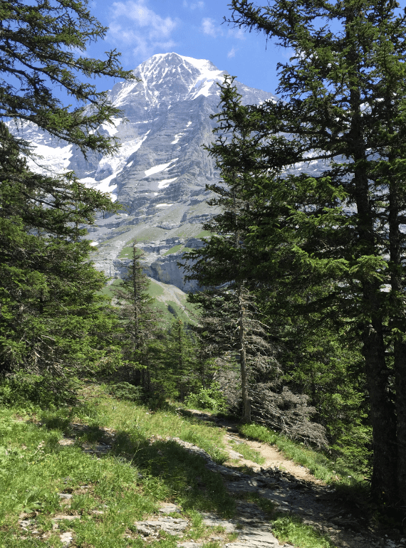 Forest path in Swiss alps - Moral Letters to Lucilius
