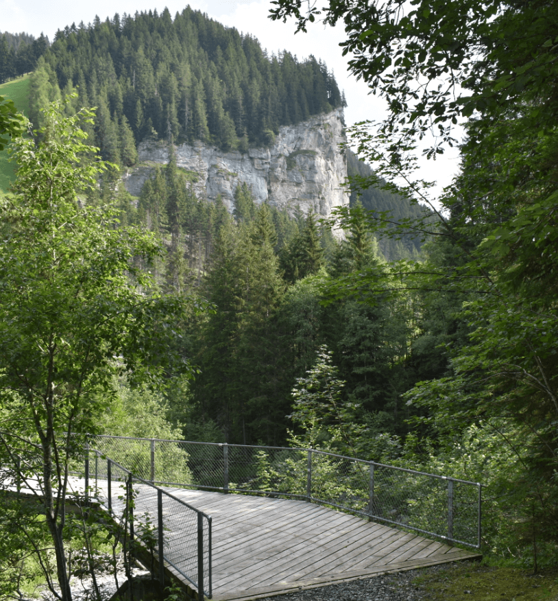 Forested mountainous region - Moral Letters to Lucilius