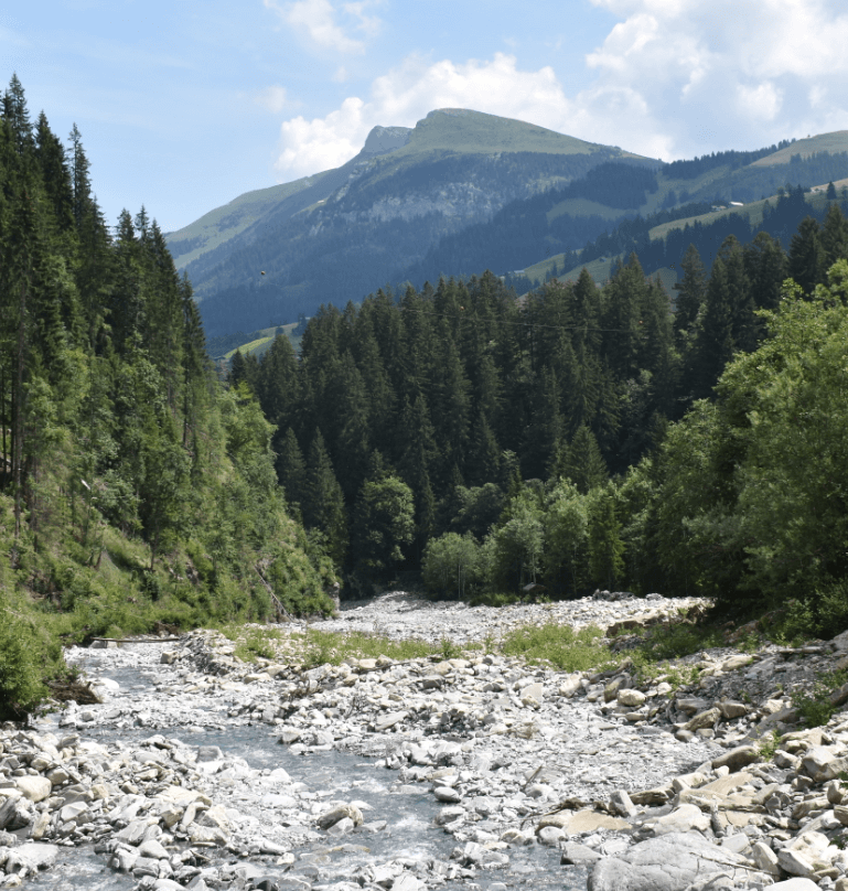 Riverbed with forests and mountain - Moral Letters to Lucilius