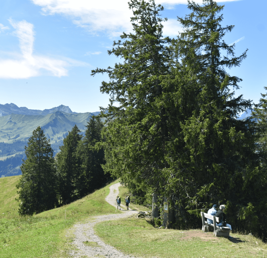 Trail with hikers and trees - Moral Letters to Lucilius
