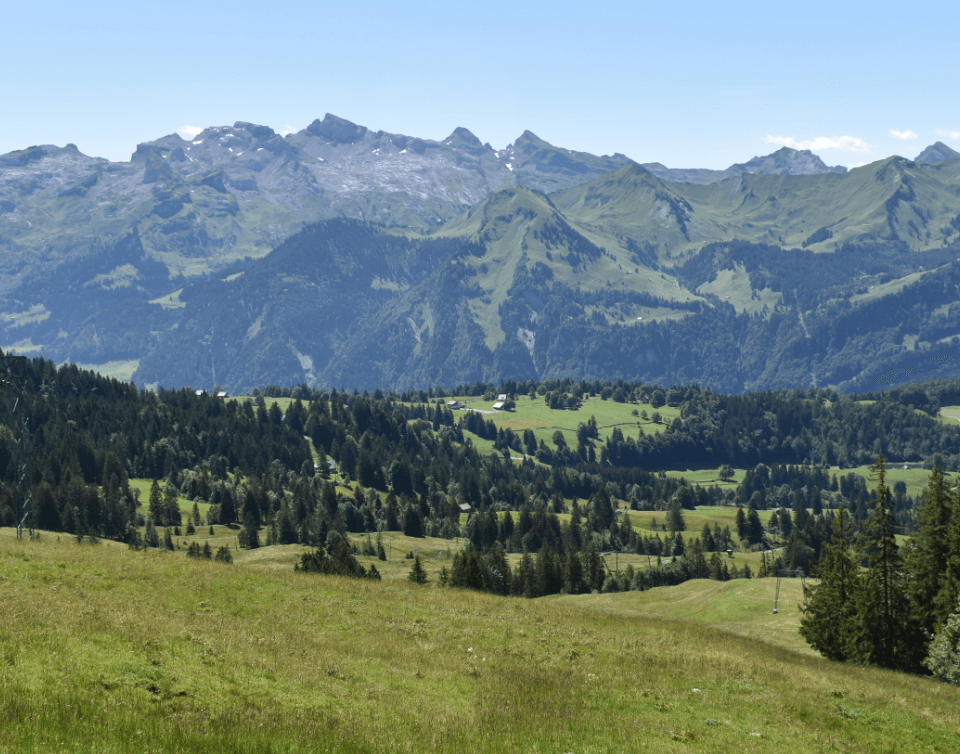 Green fields, pine forest, and mountains - Moral Letters to Lucilius
