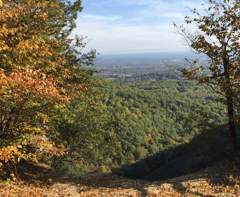 View of wooded hills from a high vantage point