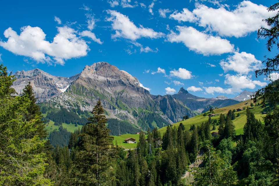 Swiss mountain scene, with peaks in the background and green hills and trees in the foreground